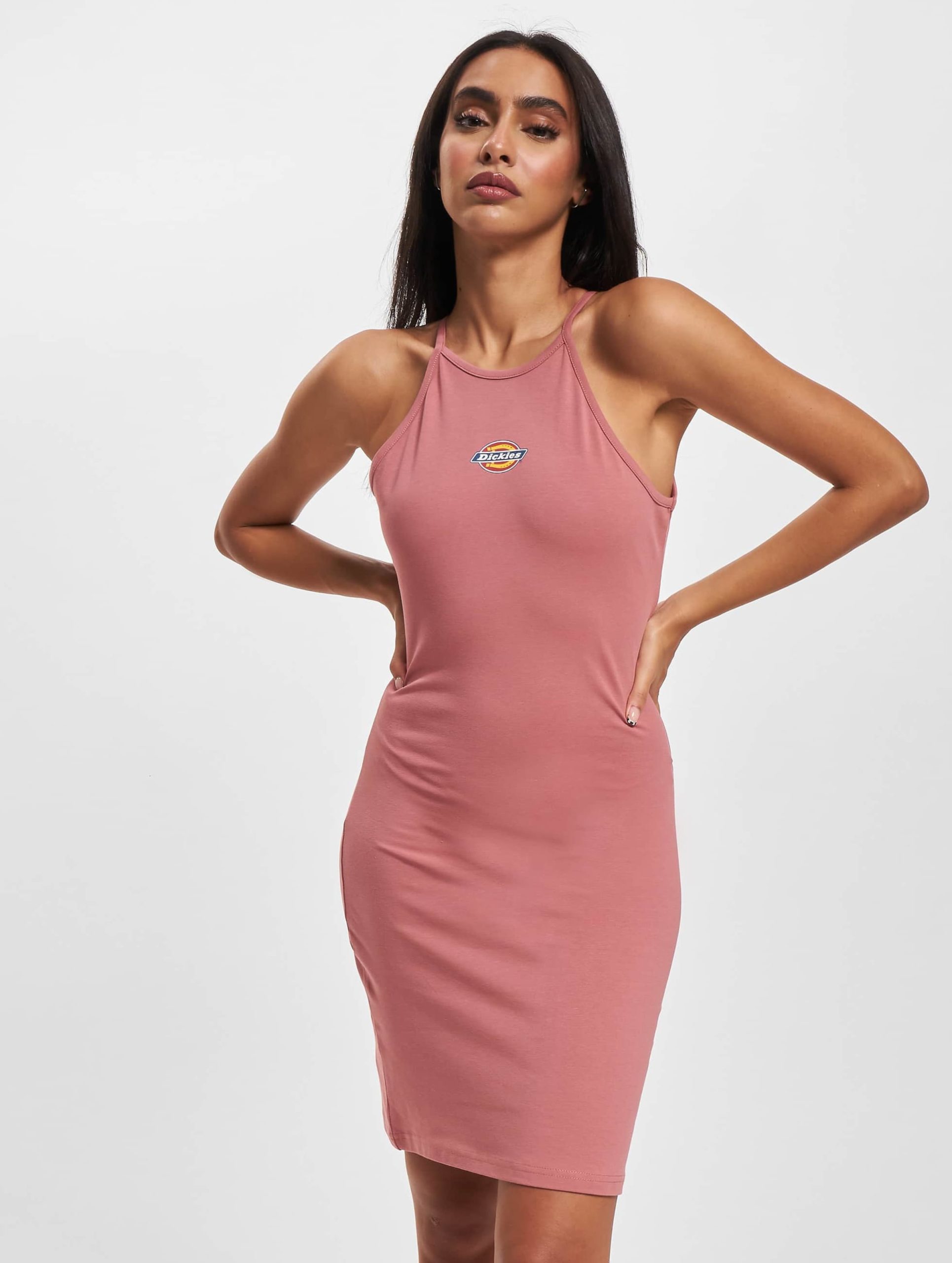 Dickies Chain Lake Kleid