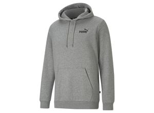 ESS Small Logo Hoodie FL Herren Sweatshirt