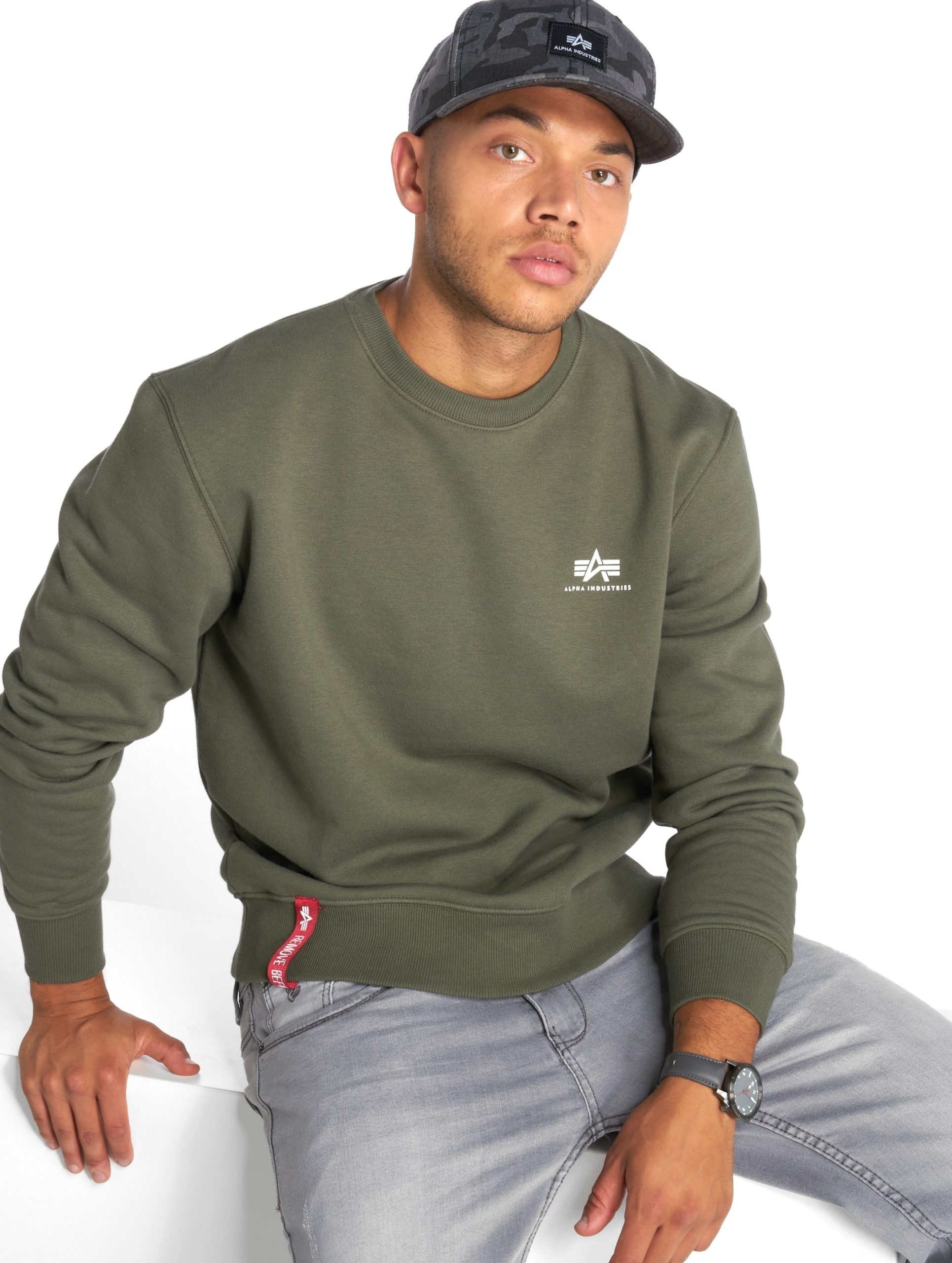 Alpha Industries Basic Small Logo Pullover