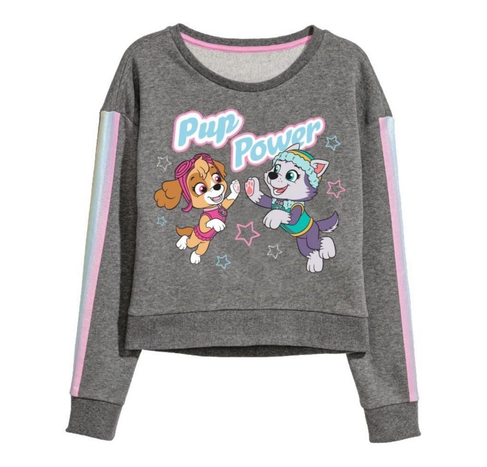 PAW PATROL Rundhalspullover PAW Patrol Rundhals-Pullover "Pup Power", Skye & Everest, Grau