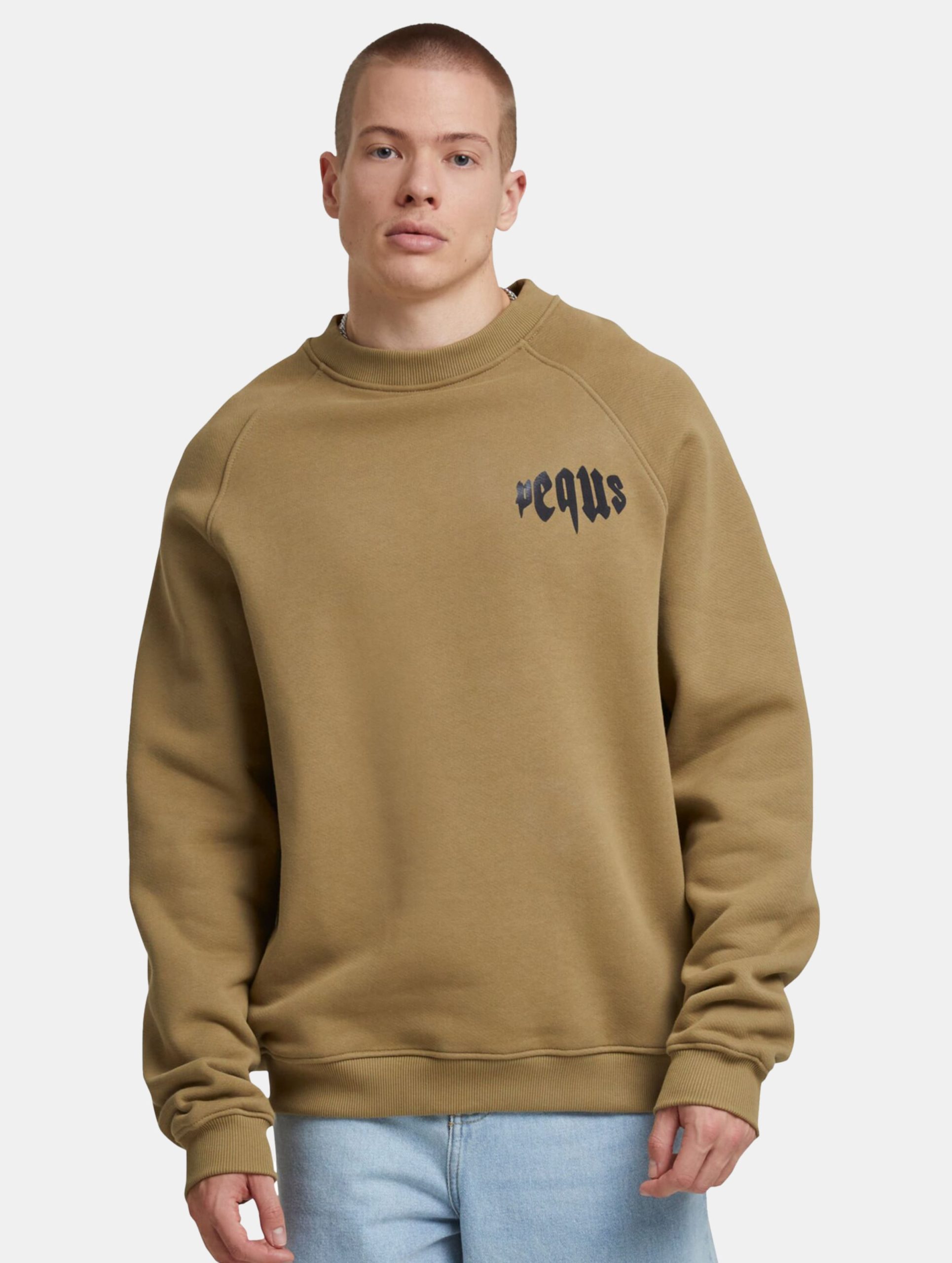 PEQUS Mythic Chest Logo Pullover
